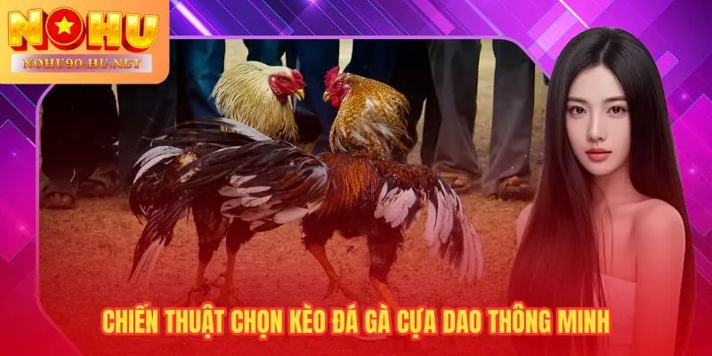 Phân tích dữ liệu chiến kê lợi thế quyết định mỗi kèo đá gà cựa dao