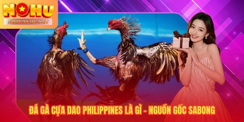 Đá gà cựa dao bắt nguồn từ Sabong di sản văn hóa Philippines hàng thế kỷ