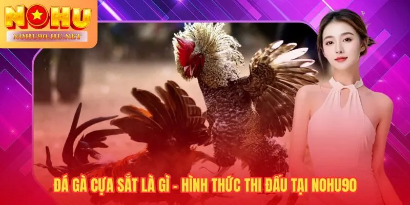 Đá gà cựa sắt với thép inox tạo lực xuyên sâu vượt trội mọi hình thức