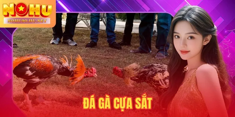 Đá Gà Cựa Sắt