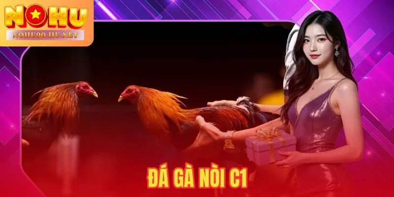 Đá Gà Nòi C1