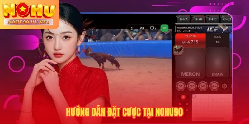 Livestream sắc nét tại Nohu90 theo dõi kèo trực tiếp trước khi đặt