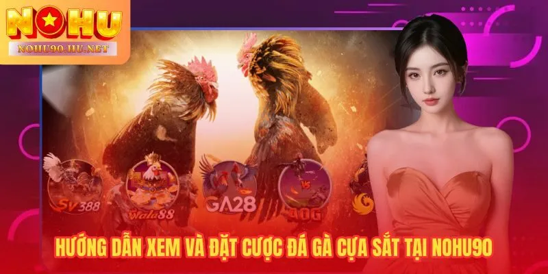 Nohu90 cung cấp livestream ổn định và kết quả cập nhật tức thì