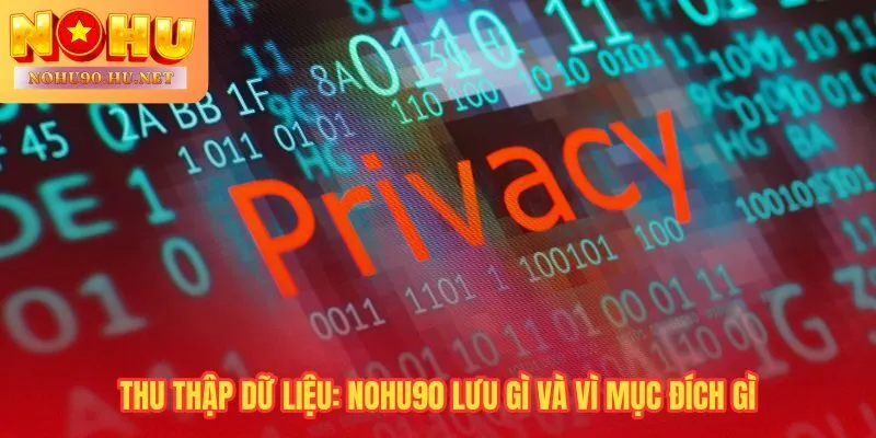 Nohu90 thu thập dữ liệu có mục đích rõ ràng và quyền riêng tư
